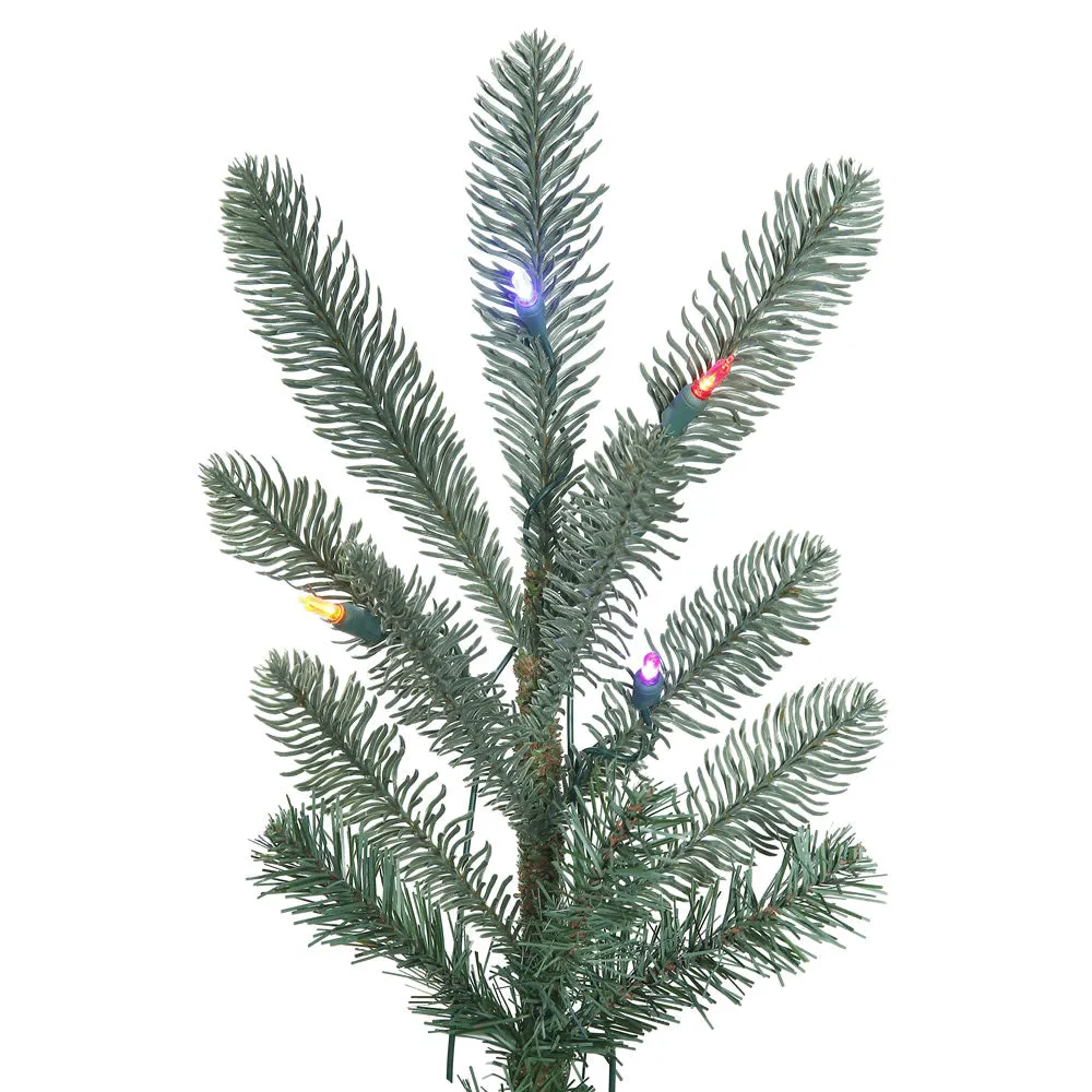 12' Alberta Blue Spruce Artificial Christmas Tree Multi-colored Dura-Lit LED