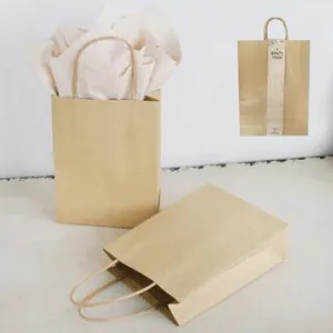 2 Pack Brown Kraft bag - 26cm x 32xm x 10.2cm