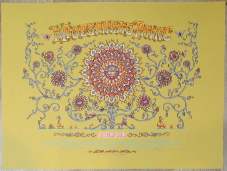 2013 Widespread Panic - Summer Tour AE Silkscreen Concert Poster by Marq Spusta