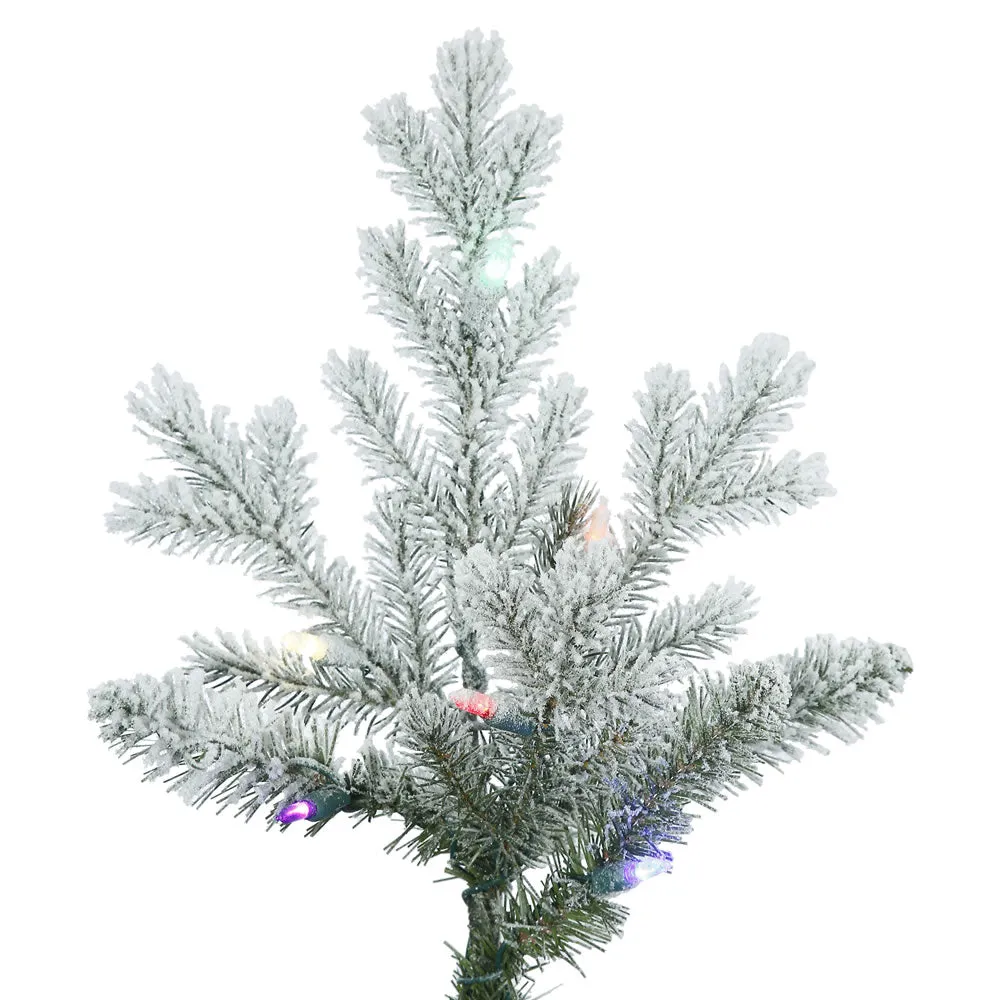 7.5' Frosted Eastern Fraser Fir Artificial Christmas Tree Colored Dura-Lit LED