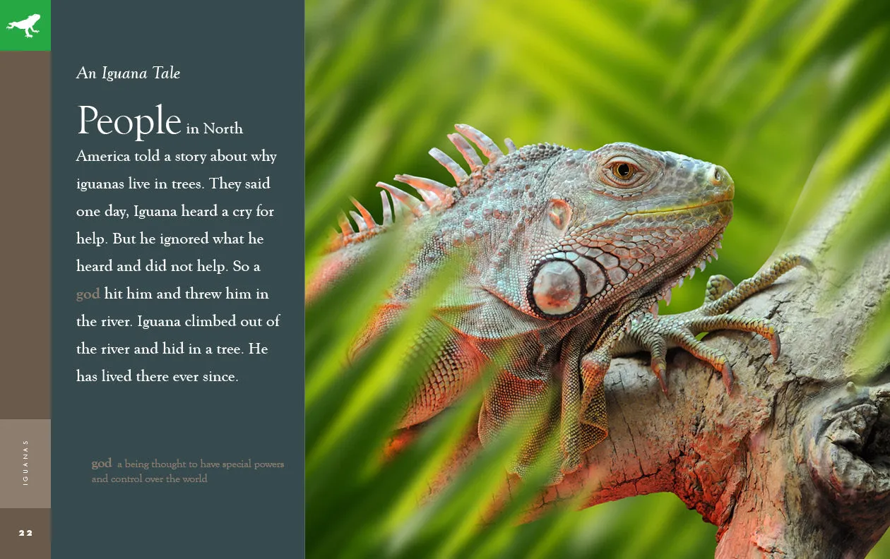 Amazing Animals (2022): Iguanas by The Creative Company Shop