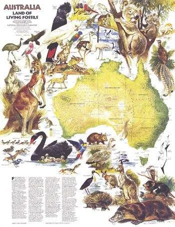 Australia, Land of Living Fossils-Published 1979 Wall Map by National Geographic