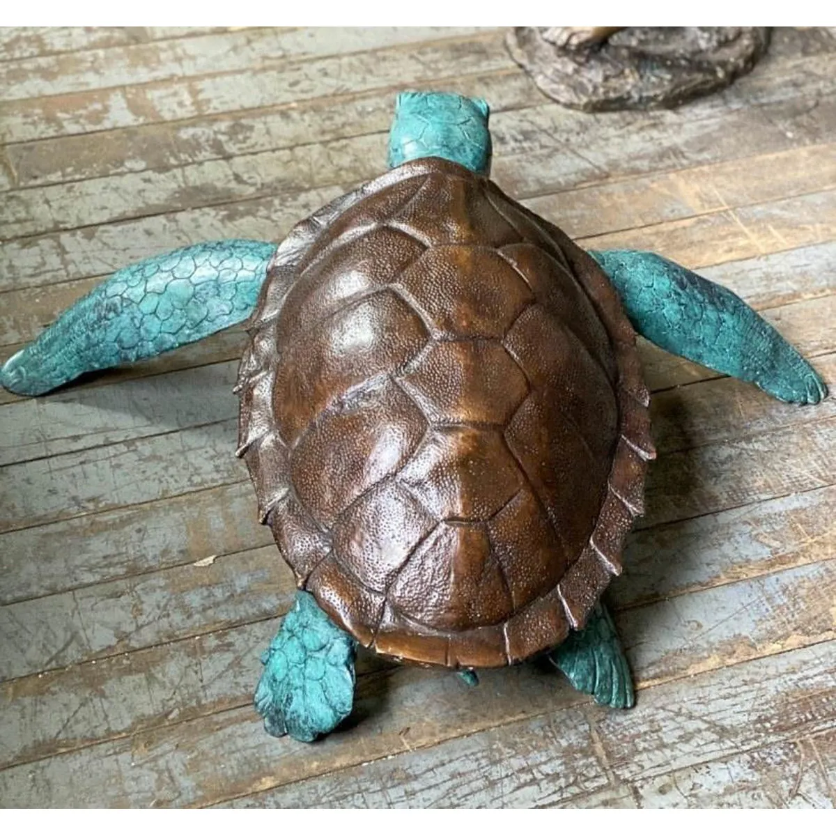 Bronze Sea Turtle