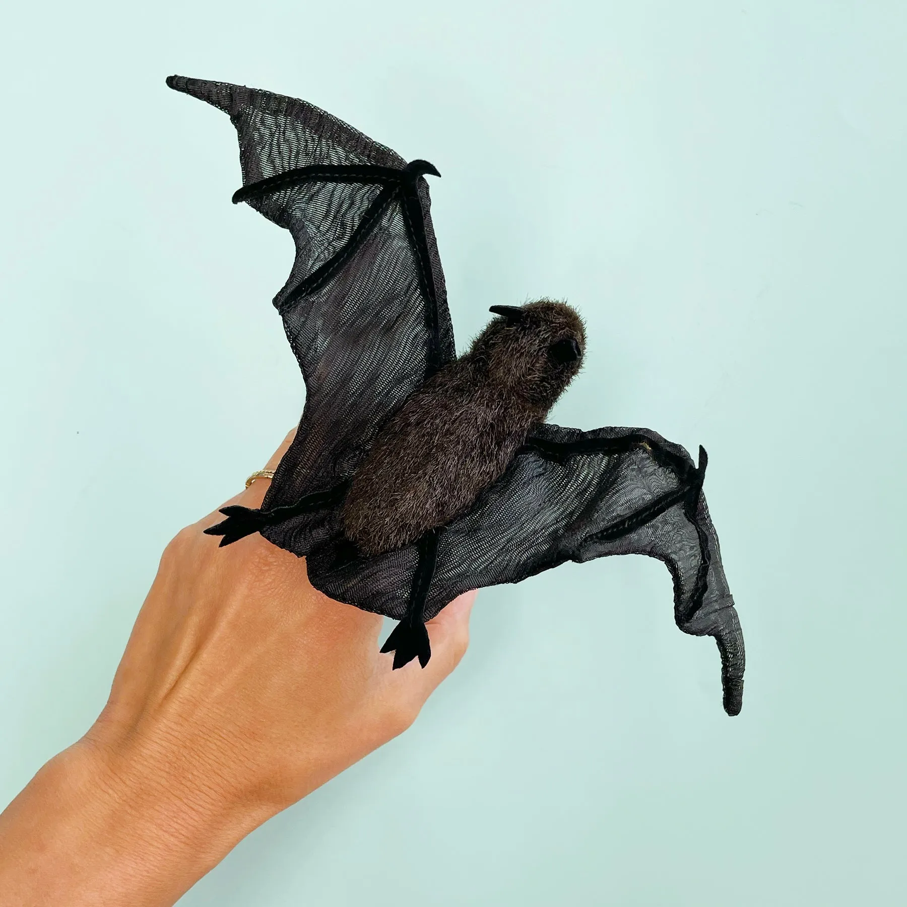 Disgusting Critter Bat Bundle