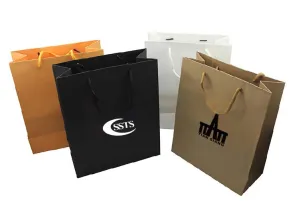 Eco-Friendly Paper Bag (Medium)