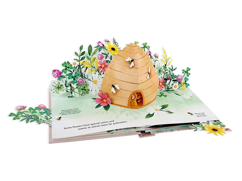 Flora: A Botanical Pop Up Book