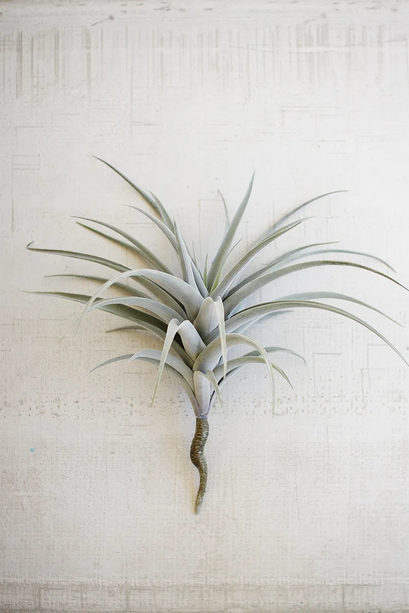 Giant Artificial Airplant