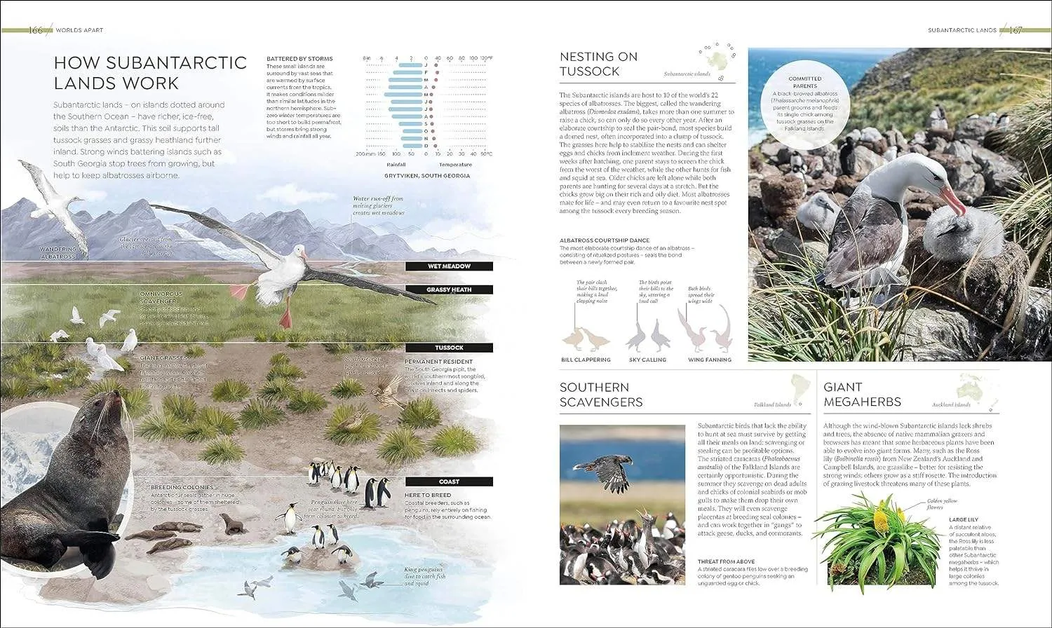 Habitats: Earth's Precious Wild Places Revealed