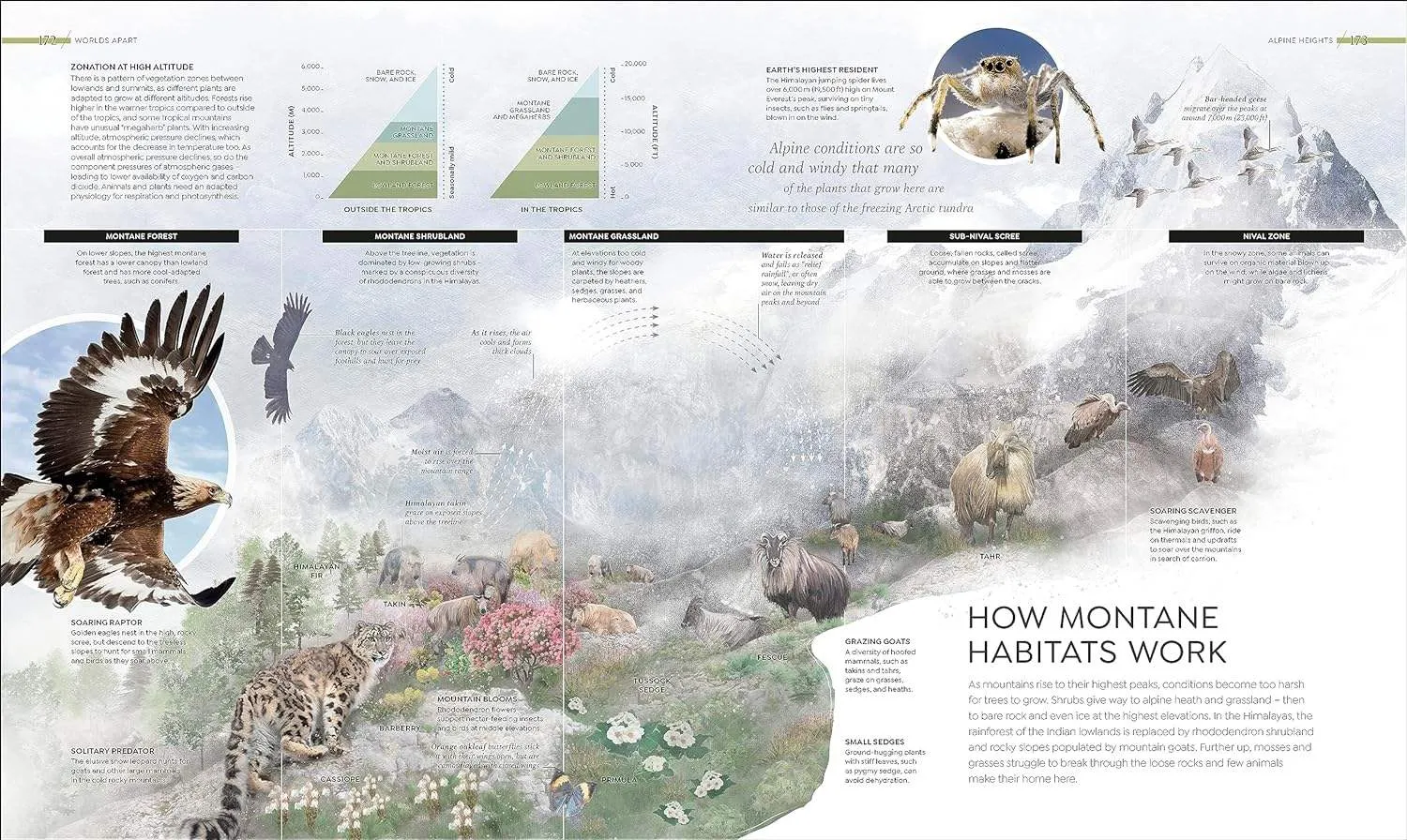 Habitats: Earth's Precious Wild Places Revealed