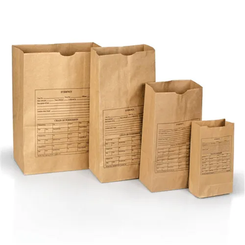 Lightning Powder Printed Paper Evidence Bags Style 86