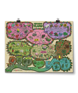 Map of Plants Poster