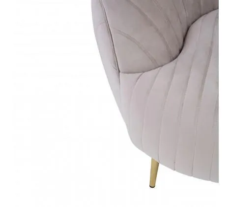 Mink Velvet Chair With Gold Legs