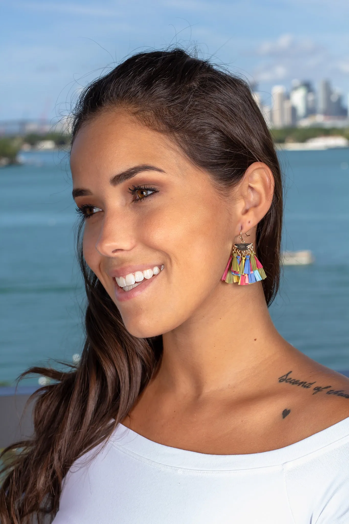 Multi Colored Tassel Earrings