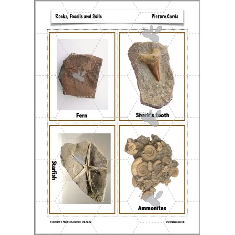 Rocks, Fossils and Soils