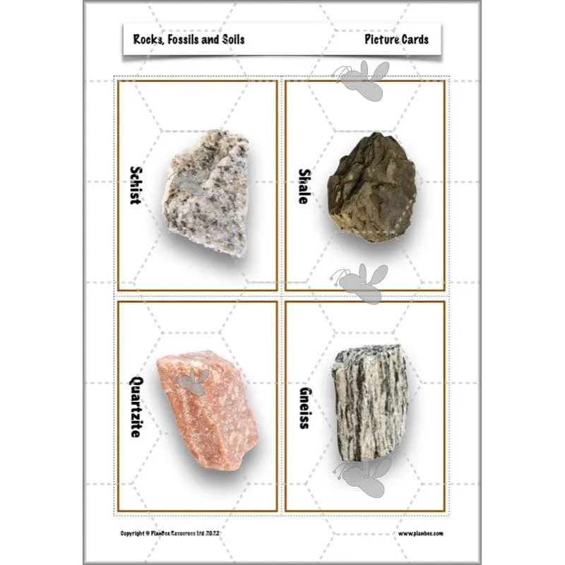 Rocks, Fossils and Soils