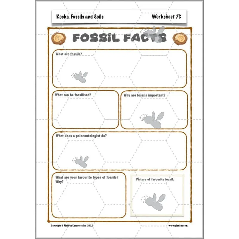 Rocks, Fossils and Soils