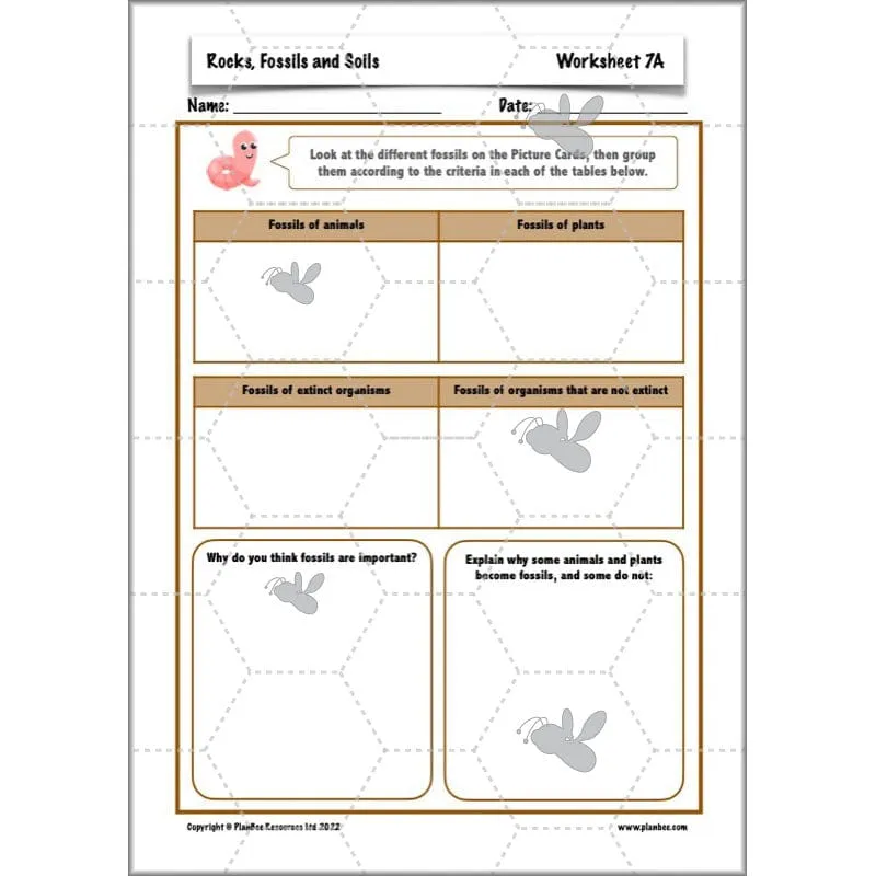 Rocks, Fossils and Soils