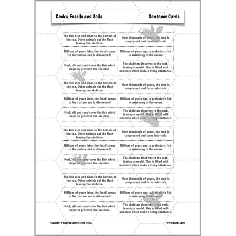 Rocks, Fossils and Soils