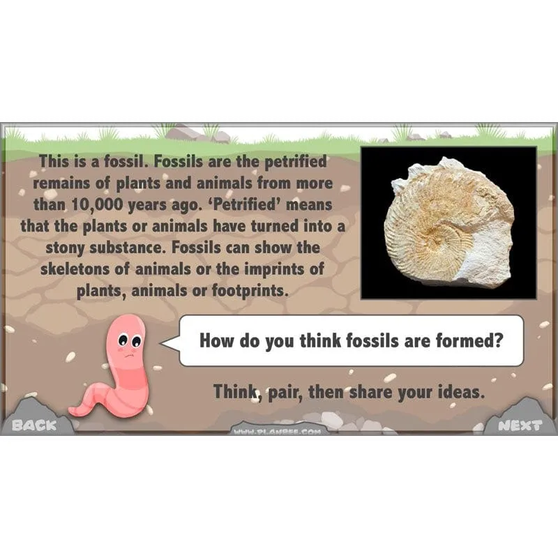 Rocks, Fossils and Soils