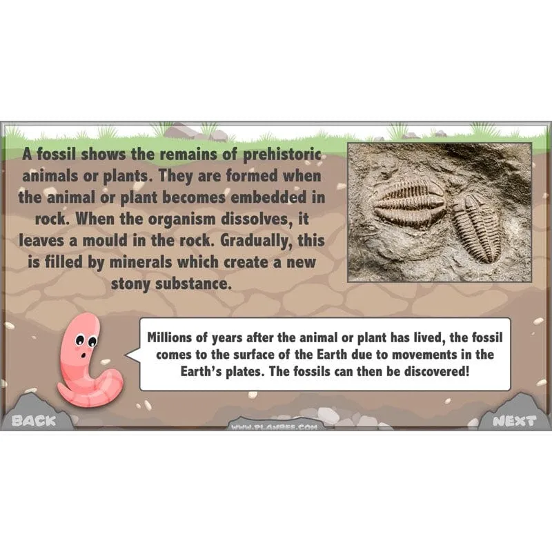 Rocks, Fossils and Soils