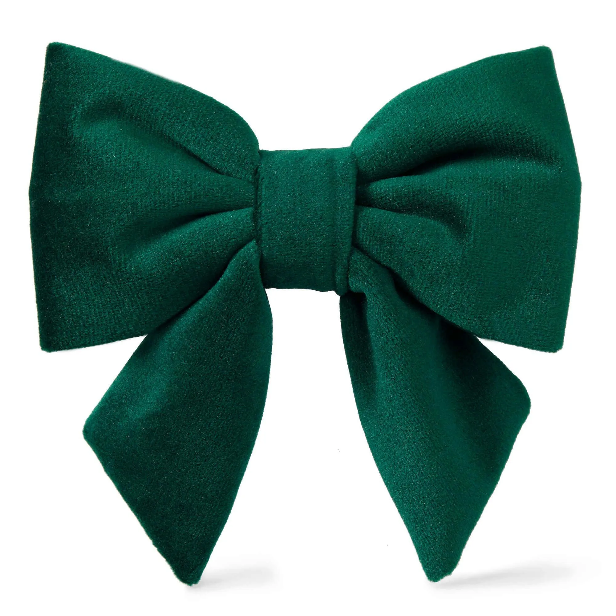 The Foggy Dog Lady Bow - Forest Green Velvet