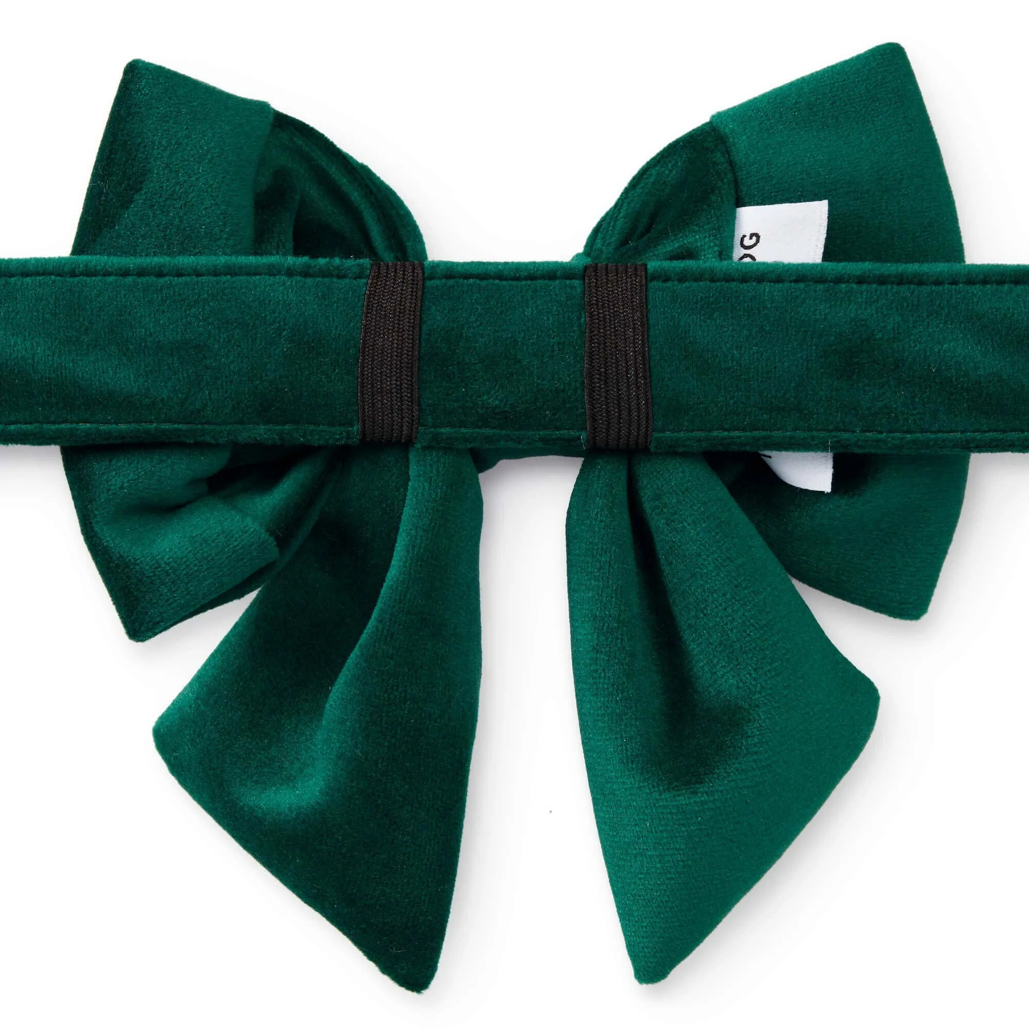 The Foggy Dog Lady Bow - Forest Green Velvet