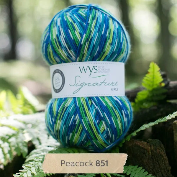 West Yorkshire Spinners - Signature 4 Ply