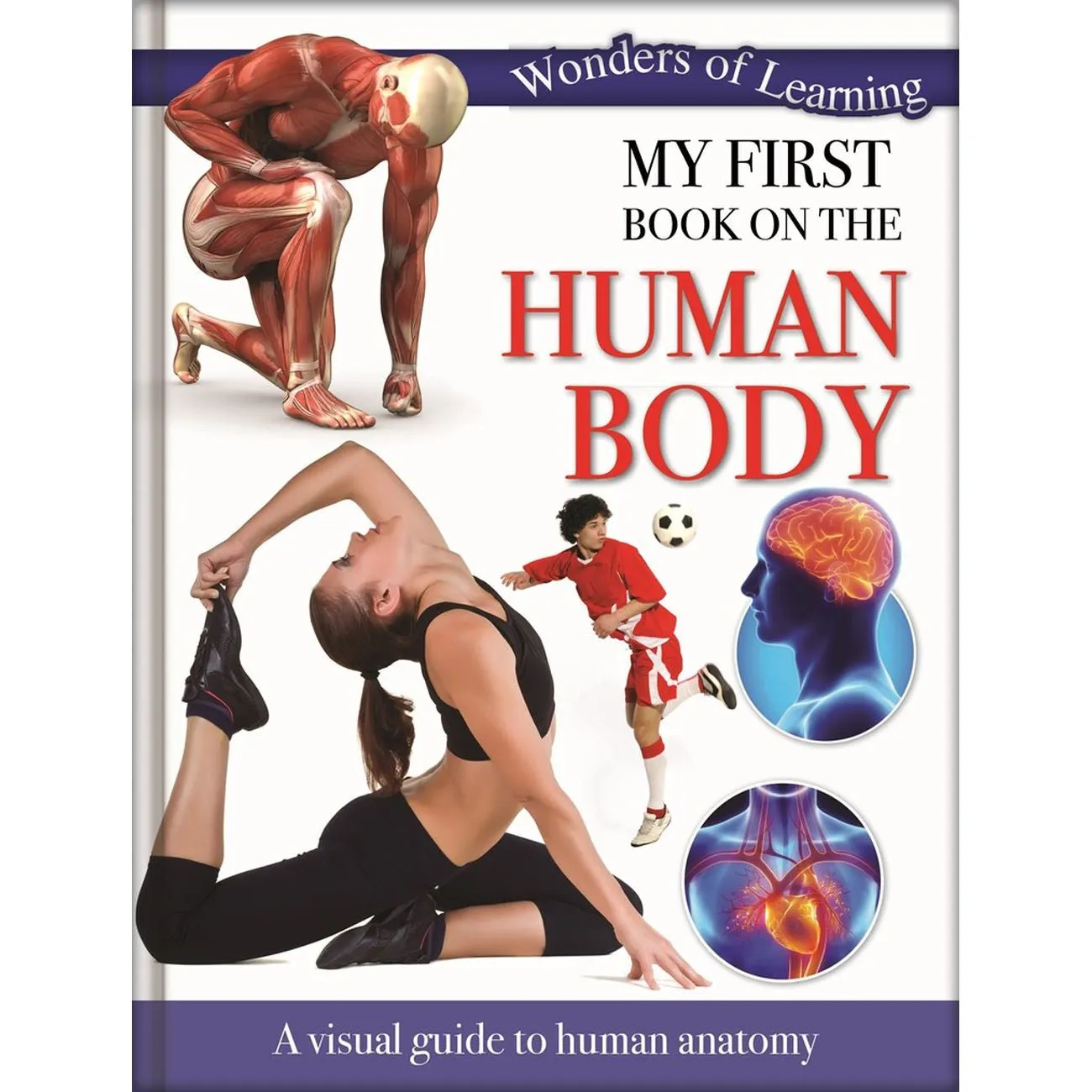 Wonders Of Learning My First Human Body